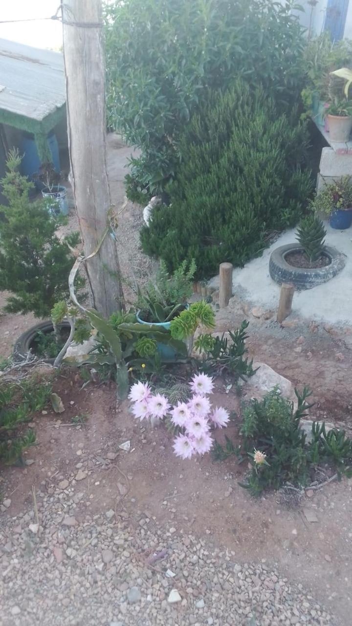 Сasa de vacaciones House Alhucemas